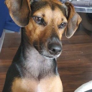 Meet your Posher, April